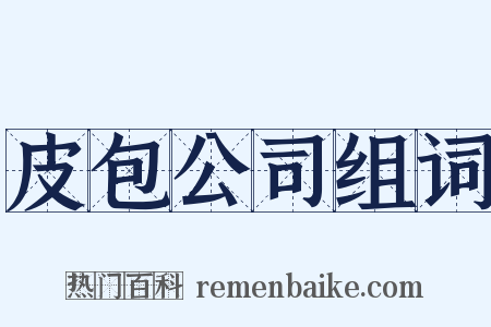 皮包公司组词是什么意思的图片